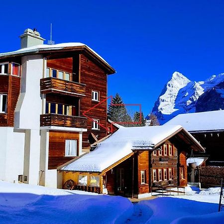 Chalet Anemone 2 Apartment Murren Exterior photo