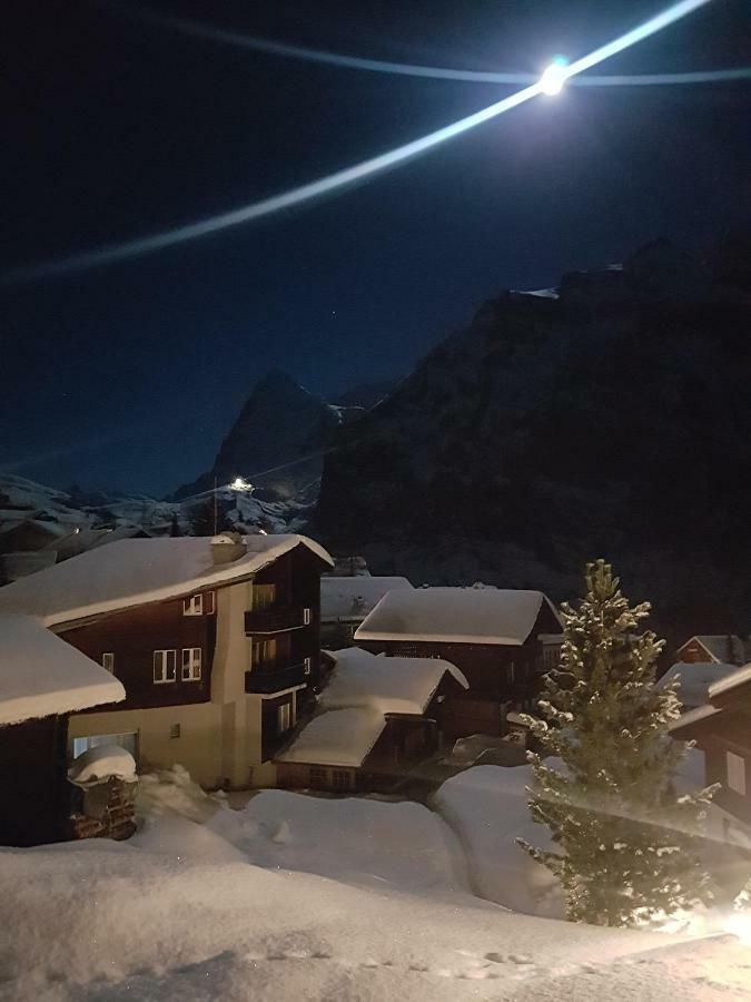 Chalet Anemone 2 Apartment Murren Exterior photo