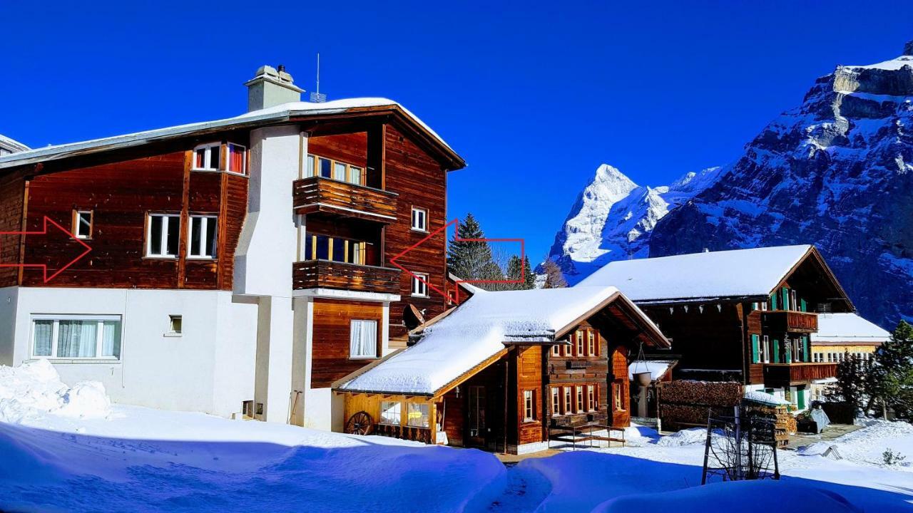 Chalet Anemone 2 Apartment Murren Exterior photo